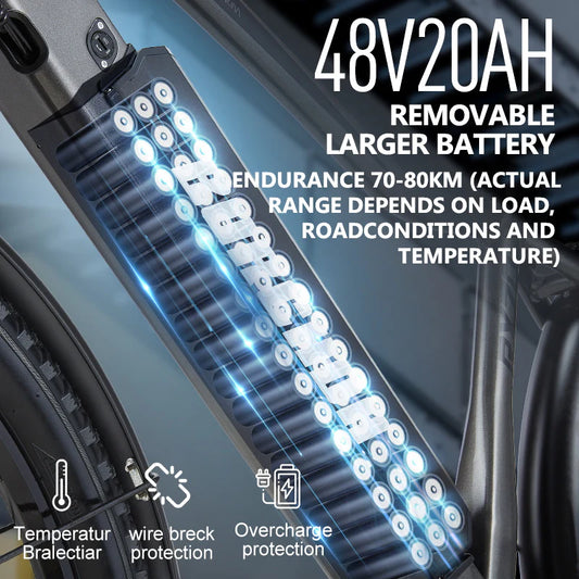 BURCHDA-RX70-27.5 inch mountain e-bike 27.5''*2.8'' tires